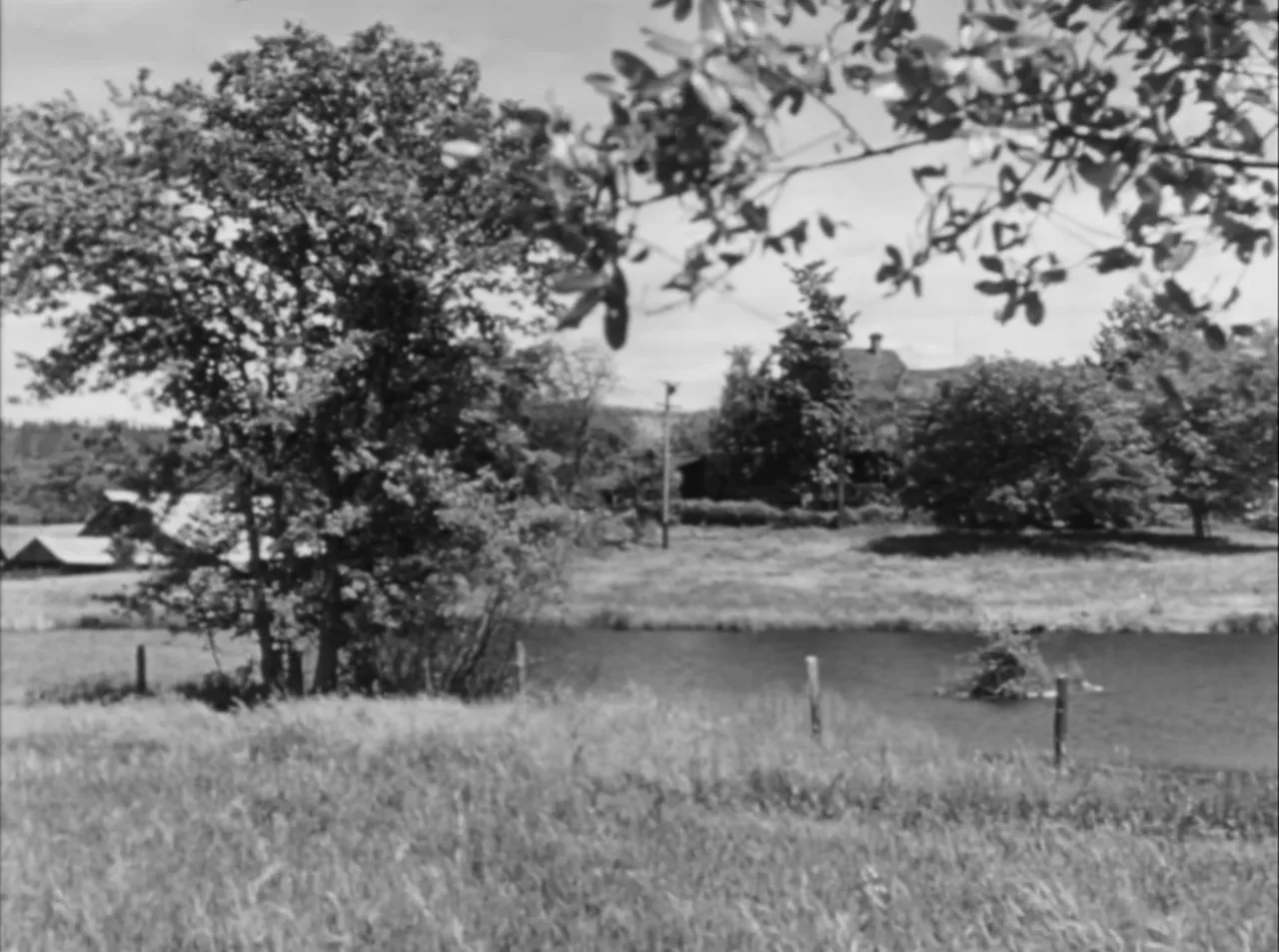 The Morgan Farm: a walled, insular place that locals call mysterious